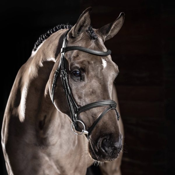 LeMieux-Arika-Flash-Bridle-Black-1