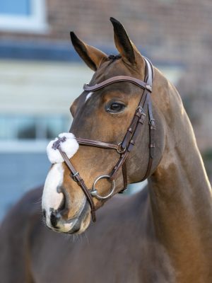 LeMieux-Arika-Grackle-Bridle-Havanna-1