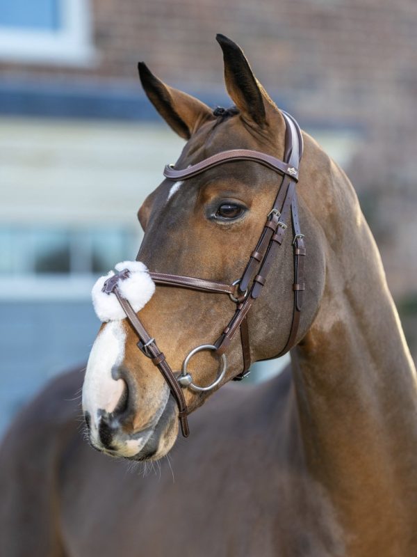 LeMieux-Arika-Grackle-Bridle-Havanna-1