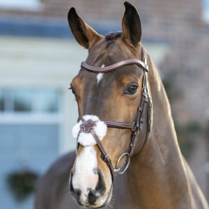 LeMieux-Arika-Grackle-Bridle-Havanna-3