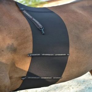 Love Horses Deluxe Body Bandage - 1 copy