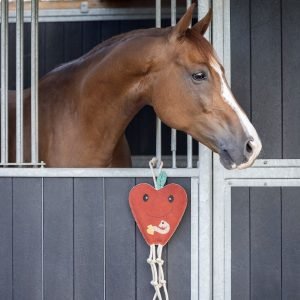 QHP-Horse-Toy-Apple-3