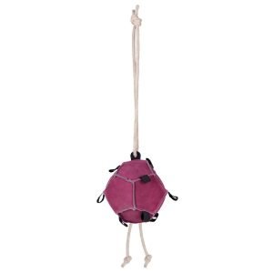 QHP-Horse-Toy-Ball-Pink-2