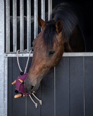 QHP-Horse-Toy-Ball-Pink-3