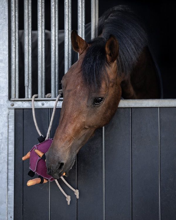 QHP-Horse-Toy-Ball-Pink-3