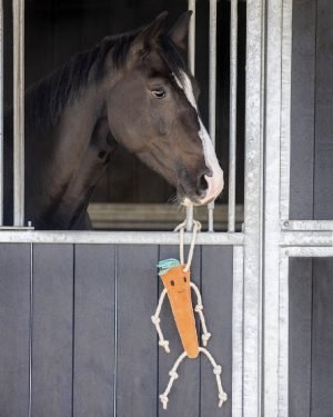 QHP-Horse-Toy-Carrot-2