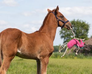 QHP-Horse-Toy-Unicorn-2