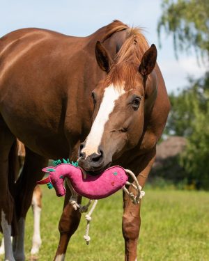 QHP-Horse-Toy-Unicorn-3