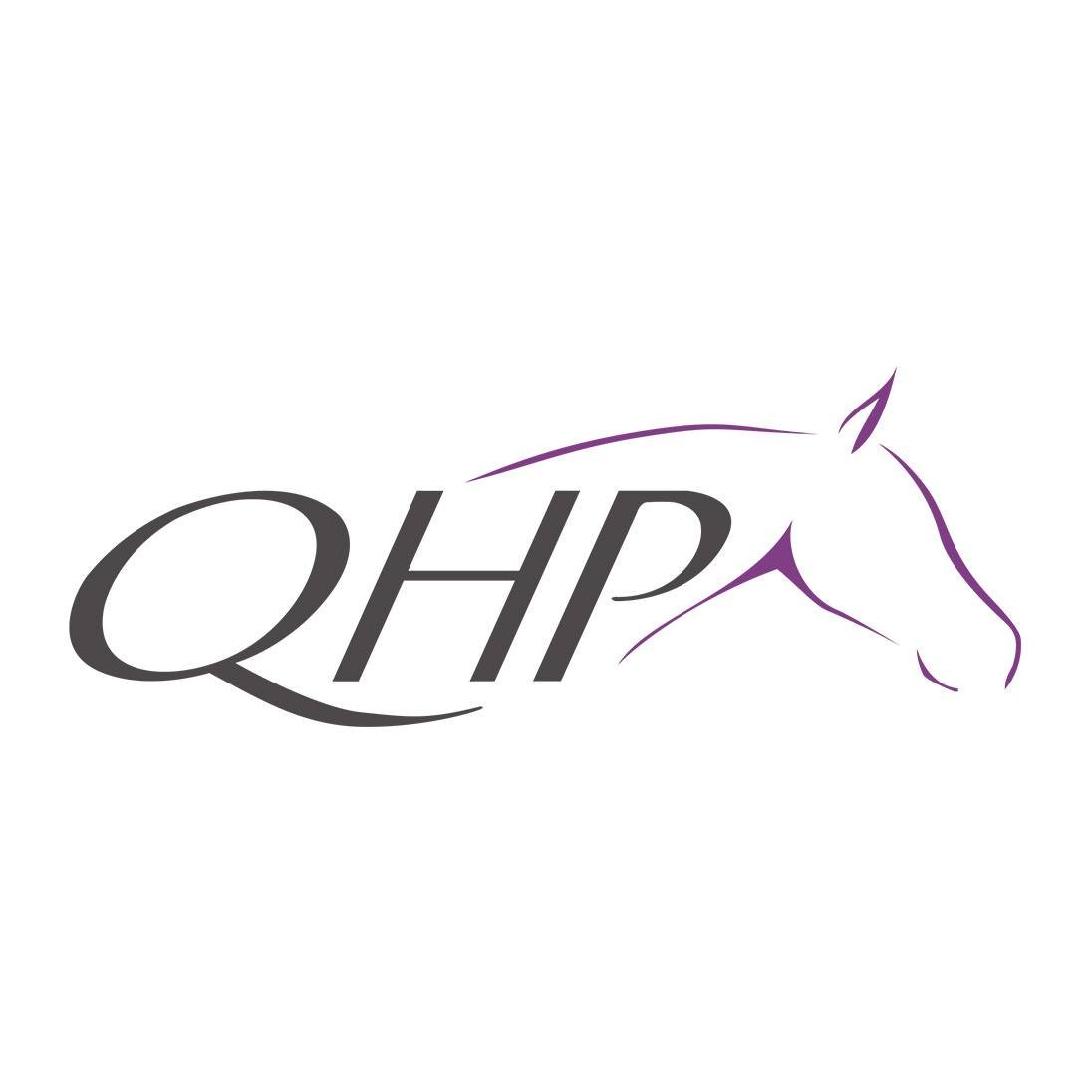 QHP LOGO