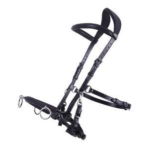 QHP-Leather-Lunge-Cavesson-Black-3