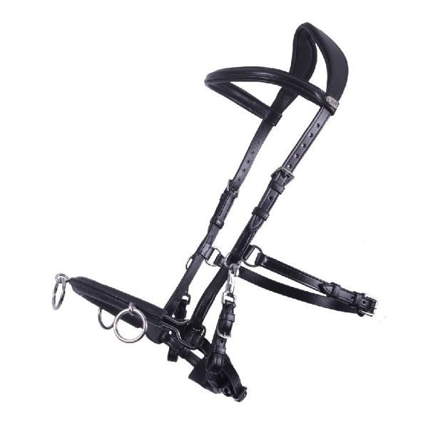 QHP-Leather-Lunge-Cavesson-Black-3 QHP-Leather-Lunge-Cavesson-Black-3