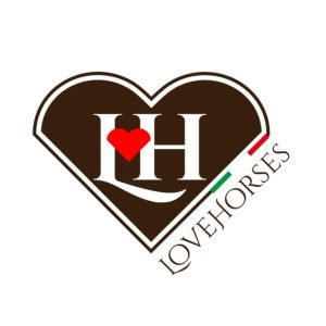 Love Horses