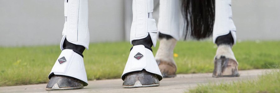 Dressage-Boots-Cover
