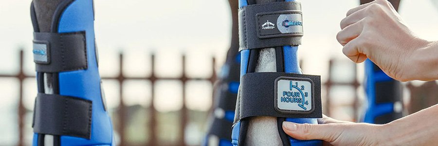 Equine Therapy Boots cover