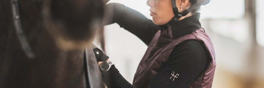 Horse-Pilot-Gilets