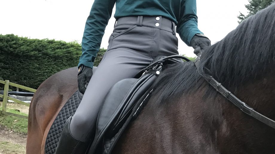 LeMieux Drytex Waterproof Winter Breeches cover