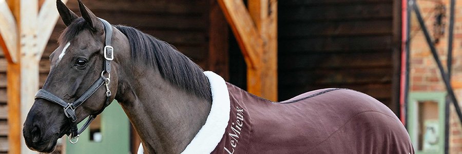LeMieux-Headcollar's