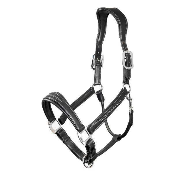 LeMieux-Stitched-Leather-Headcollar-Black-1 LeMieux-Stitched-Leather-Headcollar-Black-1