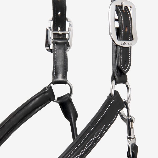 LeMieux-Stitched-Leather-Headcollar-Black-4