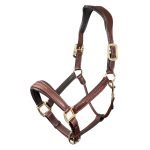 LeMieux-Stitched-Leather-Headcollar-Brown-1