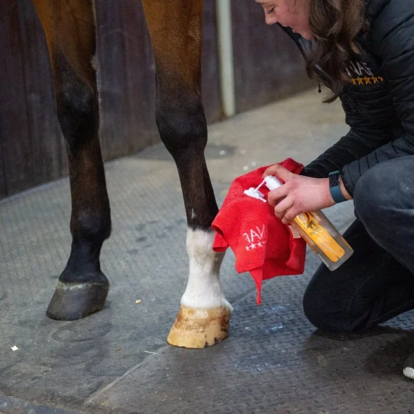 NAF-Equine-Muck-Off-Mousse-2