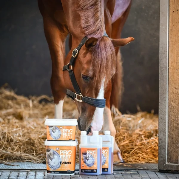 NAF-Equine-Pro-Feet-Liquid-2