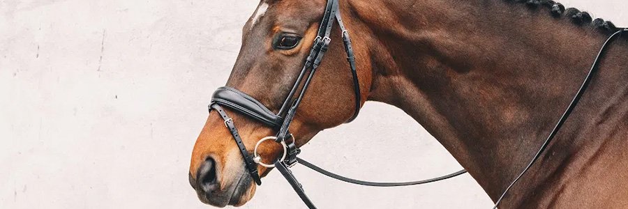 Schockemohle Bridles