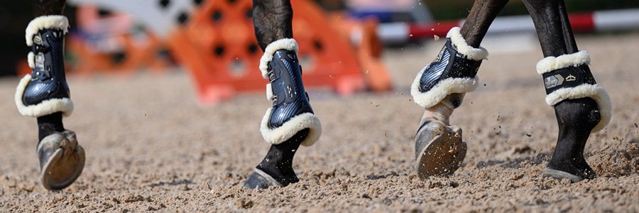 Veredus Jumping Boots Cover Image