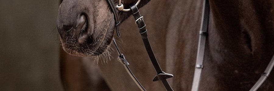 reins cover