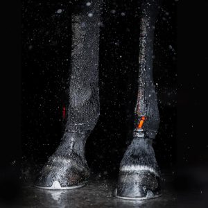 Incrediwear-Hock-Socks-Black-1 copy