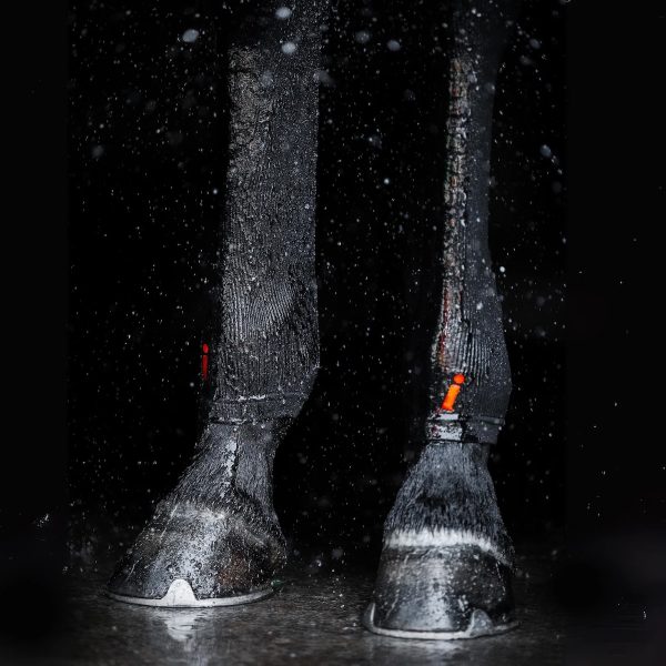 Incrediwear-Hock-Socks-Black-1 copy